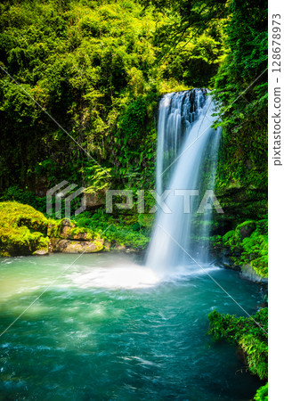 Jion Falls with fresh greenery [Hita City, Oita Prefecture] 128678973