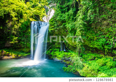 新綠的慈恩瀑布[大分縣日田市] 128678981