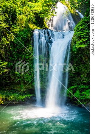Jion Falls with fresh greenery [Hita City, Oita Prefecture] 128678989