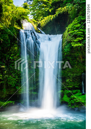 Jion Falls with fresh greenery [Hita City, Oita Prefecture] 128678994