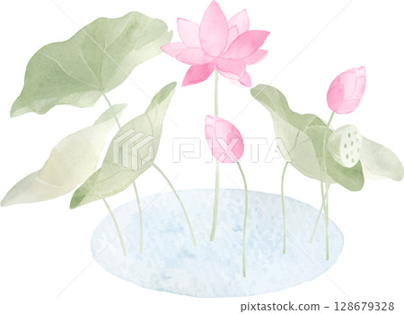 水彩蓮花插圖2 水彩蓮花插圖2 128679328