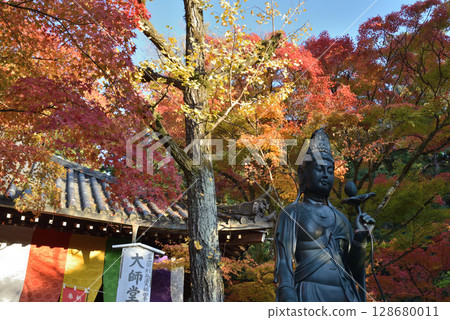 Autumn at Kumano Kannonji Temple: Daishido Hall and the Kannon Bodhisattva (Higashiyama Ward, Kyoto City) 128680011