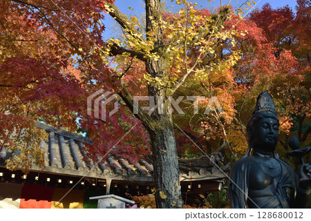 熊野觀音寺的秋天：大師堂與觀音像（京都市東山區） 128680012