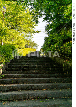 Climbing the stone steps in the park 128680149