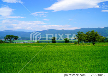 Summer blue sky and country scenery 128680842