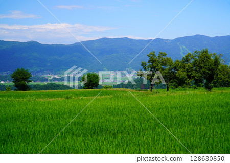 Summer blue sky and country scenery 128680850