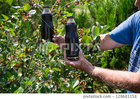 Rich and Refreshing Blueberry Juice in a Glass Bottle from Our Mini Farm. 128681158
