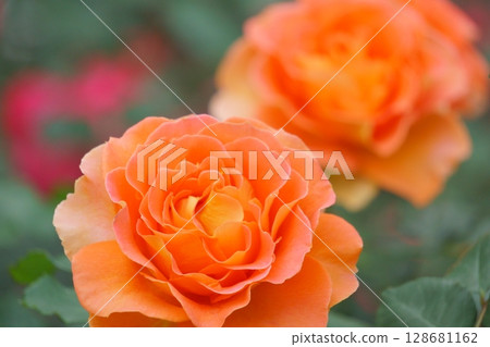 Orange Rose Brass Band Orange Rose Brass Band 128681162