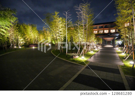 Fantastic beauty at night at Hotel Indigo Inuyama Urakuen 128681280