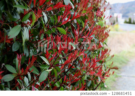 Kaname Memochi Kaname Memochi 128681451