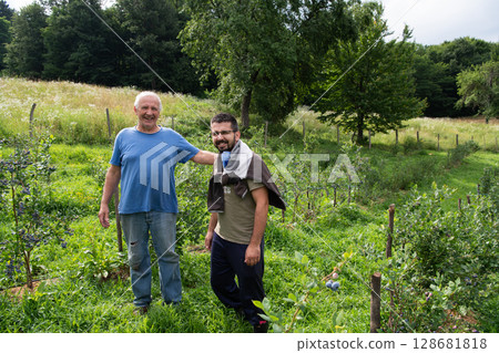 Father and Son Farmers Inspecting the Quality of Their Blueberry Harvest Together. 128681818