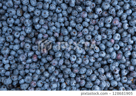 Close Up of Freshly Picked Blueberries Showcasing Natures Sweetness and Quality. Close Up of Freshly Picked Blueberries Showcasing Natures Sweetness and Quality. 128681905