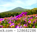 八丈島的八丈富士和山腳下蔓延的小蒼蘭花田 128682286