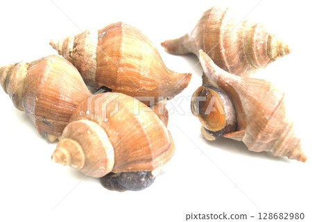 Fresh mussel Fresh mussel 128682980