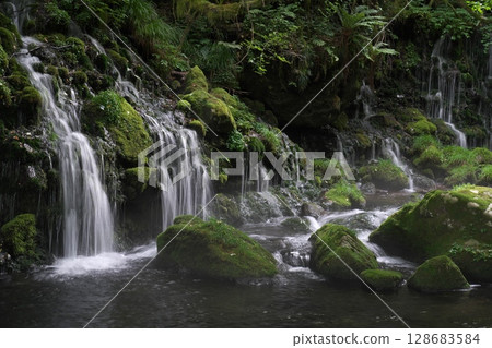 Motoyuki underwater water Motoyuki underwater water 128683584