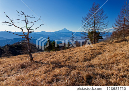 Mount Fuji seen from the winter grasslands of Mount Kentoku and Ogidaira 128683730