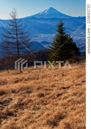 從健德山和扇平山的冬季草原上眺望富士山 128683732