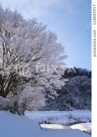 Frost (Hiruzen Plateau) 128683957