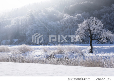 Frost (Hiruzen Plateau) 128683959