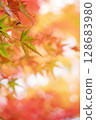 Bright autumn leaves 128683980