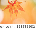 Bright red autumn leaves 128683982
