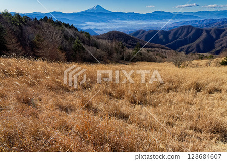 從健德山和扇平山的冬季草原上眺望富士山 128684607