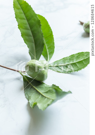 茶果,茶樹的種子 茶果,茶樹的種子 128684615