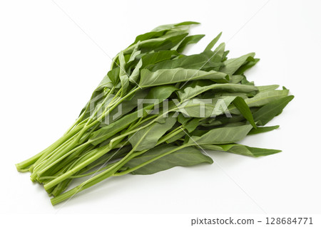 白色背景的空心菜 128684771