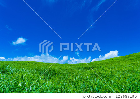 奈良縣曾爾村 - 曾爾高原的紫芒如毯,盛夏的藍天如畫 奈良縣曾爾村 - 曾爾高原的紫芒如毯,盛夏的藍天如畫 128685199