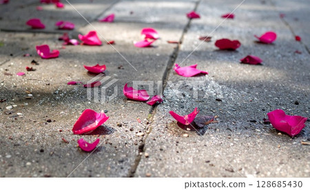 Delicate petal patterns on wet ground 128685430