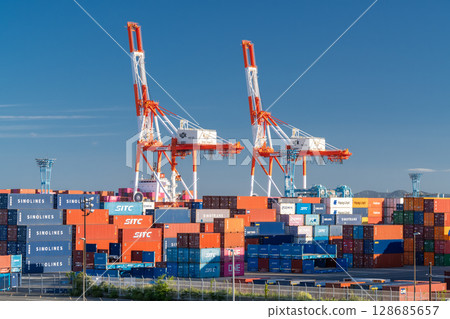 <Kanagawa Prefecture> Minami Honmoku Pier Container Terminal 128685657