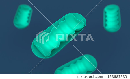 Three-dimensional image illustration of mitochondria Three-dimensional image illustration of mitochondria 128685883
