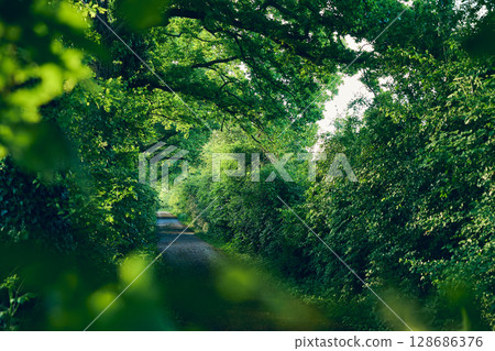 Narrow Street through green nature 128686376