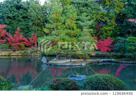 Autumn in Kyoto: Hokongoin Garden, pond and autumn leaves Autumn in Kyoto: Hokongoin Garden, pond and autumn leaves 128686498