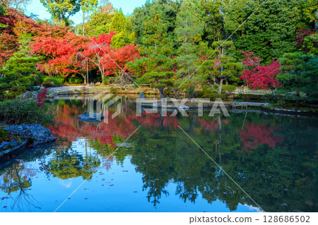 京都的秋天：Hokongoin 花園、池塘和秋葉 128686502