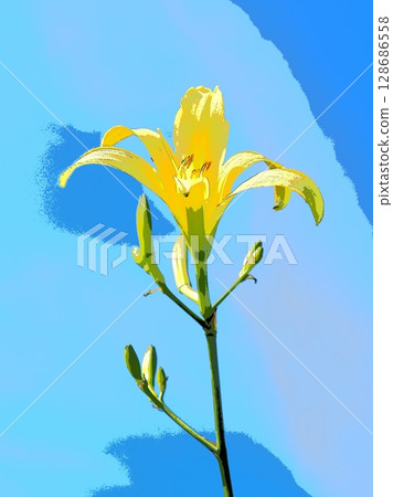 晚百合（afr20250713160209） 128686558