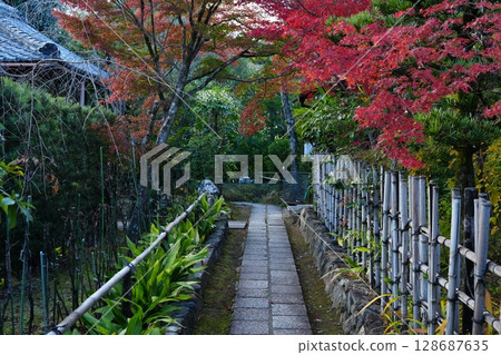 大中庭寺的參道被秋葉環繞 大中庭寺的參道被秋葉環繞 128687635