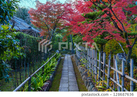 大中庭寺的參道被秋葉環繞 大中庭寺的參道被秋葉環繞 128687636