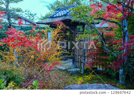 The approach to the Great Temple surrounded by autumn leaves 128687642