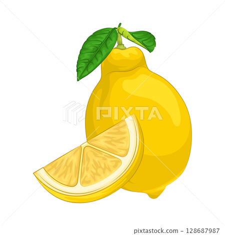 Illustration of Lemon Illustration of Lemon 128687987