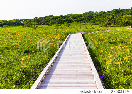 [北海道_天鹽郡_佐呂別玄屋] 夏天的佐呂別原始花園 128688319