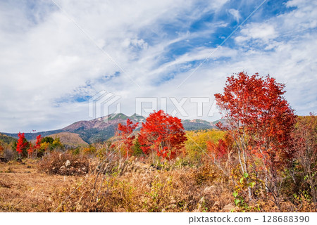 【乘鞍高原的秋天】一之瀨庭園的“大楓樹” 128688390