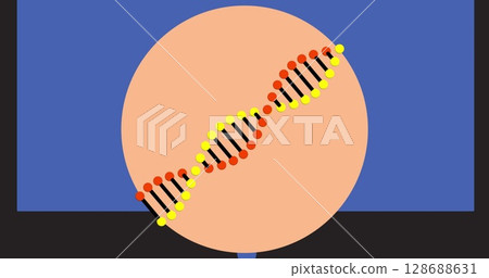 Image of dna strand on blue background 128688631
