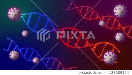 Floating DNA helix strands and virus particles drifting in digital background, with spike proteins 128689134