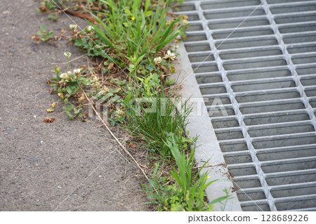 weed, grass, asphalt, ground, plant, green, nature, outdoor, leaf weed, grass, asphalt, ground, plant, green, nature, outdoor, leaf 128689226