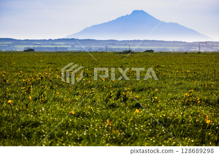 [北海道_天鹽郡_佐呂別玄屋] 夏季從佐呂別原始花園眺望利尻富士 128689298