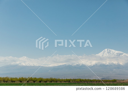 Beautiful landscape on Mount Ararat 128689386