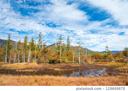 [Autumn in Norikura Highlands] Autumn leaves around Ichinose Garden's "Dojo Pond" 128689878
