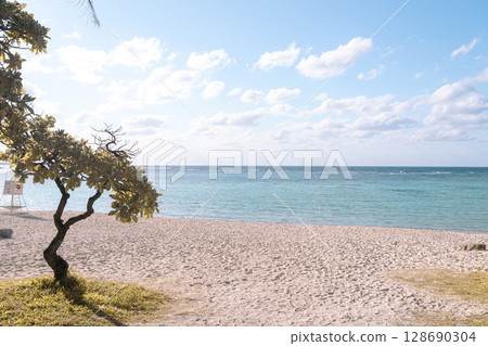 沖繩的海讓人心曠神怡 128690304