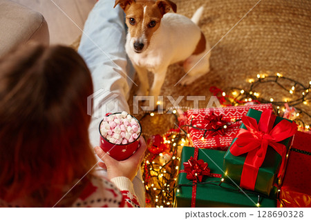 Woman wearing Christmas sweater holding mug of hot chocolate with marshmallows, her Jack Russell Terrier dog sitting near wrapped gifts and glowing lights. Cozy Christmas scene at home Woman wearing Christmas sweater holding mug of hot chocolate with marshmallows, her Jack Russell Terrier dog sitting near wrapped gifts and glowing lights. Cozy Christmas scene at home 128690328